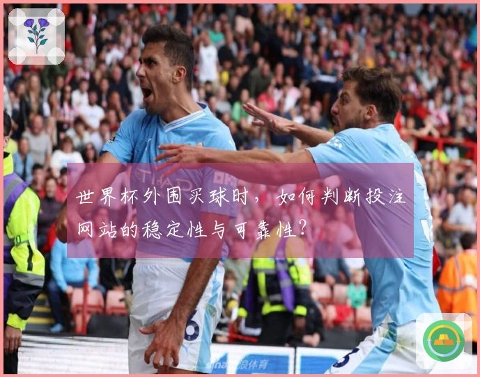 世界杯外围买球时，如何判断投注网站的稳定性与可靠性？