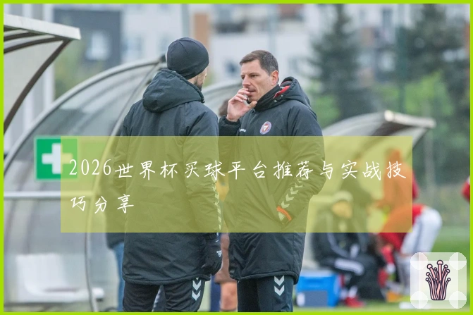 2026世界杯买球平台推荐与实战技巧分享