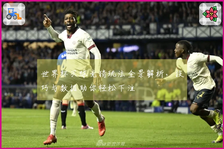 世界杯买球竞猜玩法全景解析，技巧与数据助你轻松下注