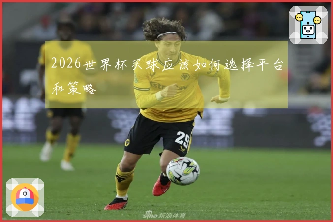2026世界杯买球应该如何选择平台和策略