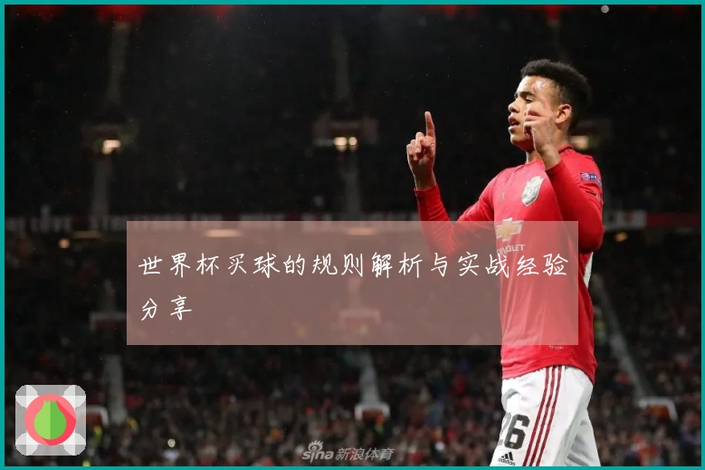 世界杯买球的规则解析与实战经验分享