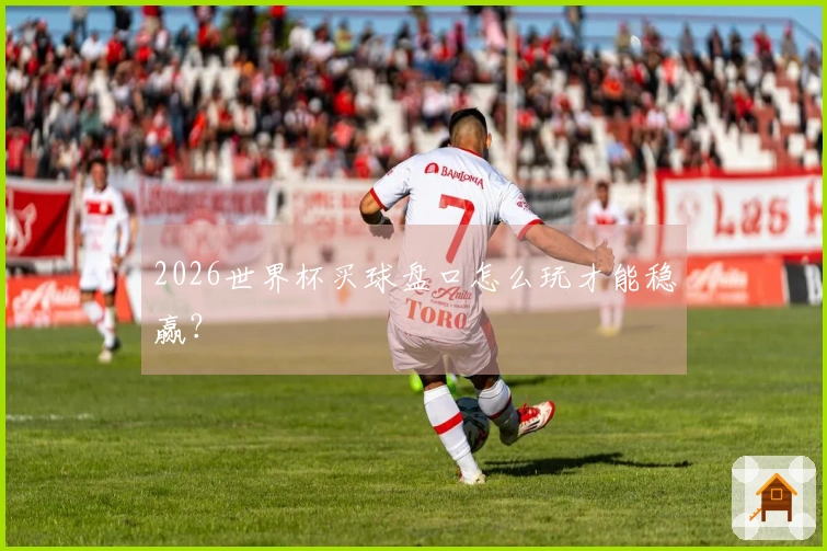 2026世界杯买球盘口怎么玩才能稳赢？
