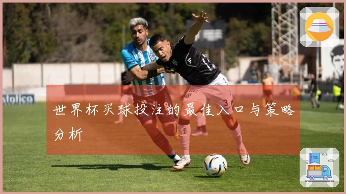 世界杯买球投注的最佳入口与策略分析