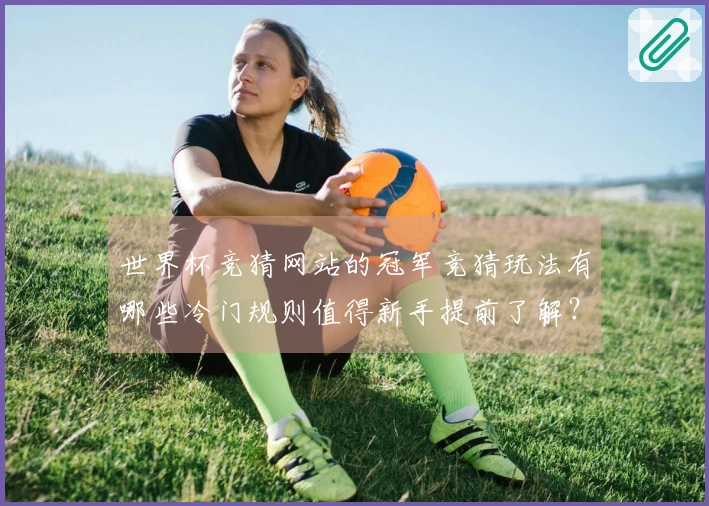 世界杯竞猜网站的冠军竞猜玩法有哪些冷门规则值得新手提前了解？