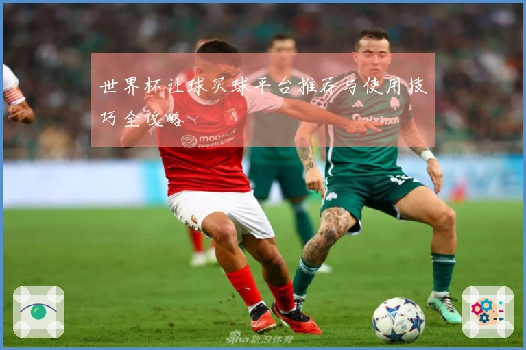 世界杯让球买球平台推荐与使用技巧全攻略