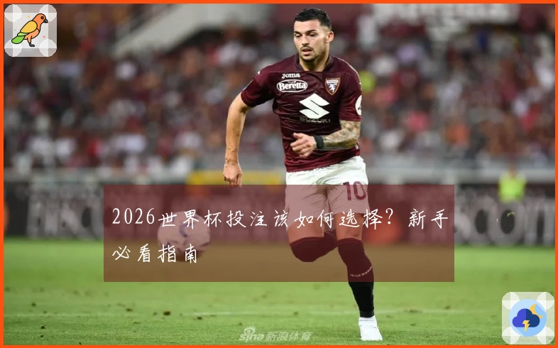2026世界杯投注该如何选择？新手必看指南