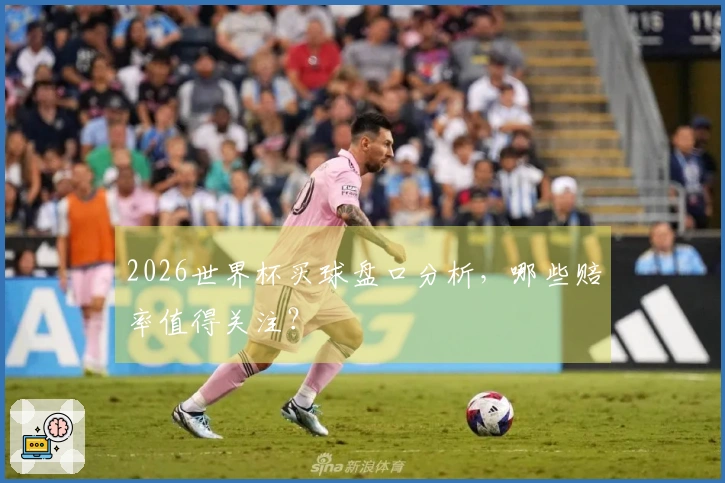 2026世界杯买球盘口分析，哪些赔率值得关注？