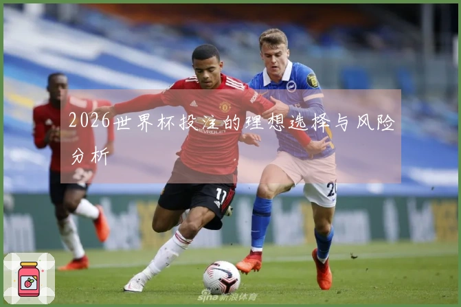 2026世界杯投注的理想选择与风险分析