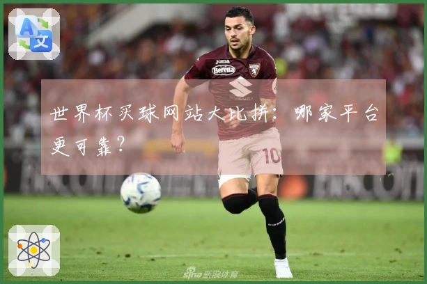 世界杯买球网站大比拼：哪家平台更可靠？