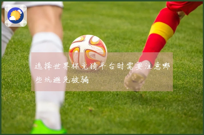 选择世界杯竞猜平台时需要注意哪些坑避免被骗