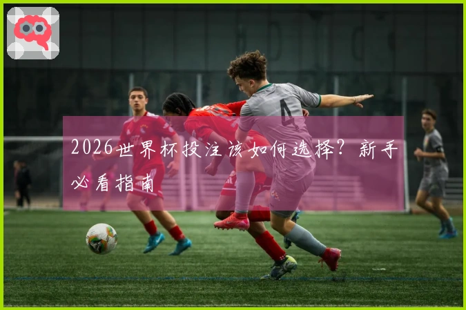 2026世界杯投注该如何选择？新手必看指南